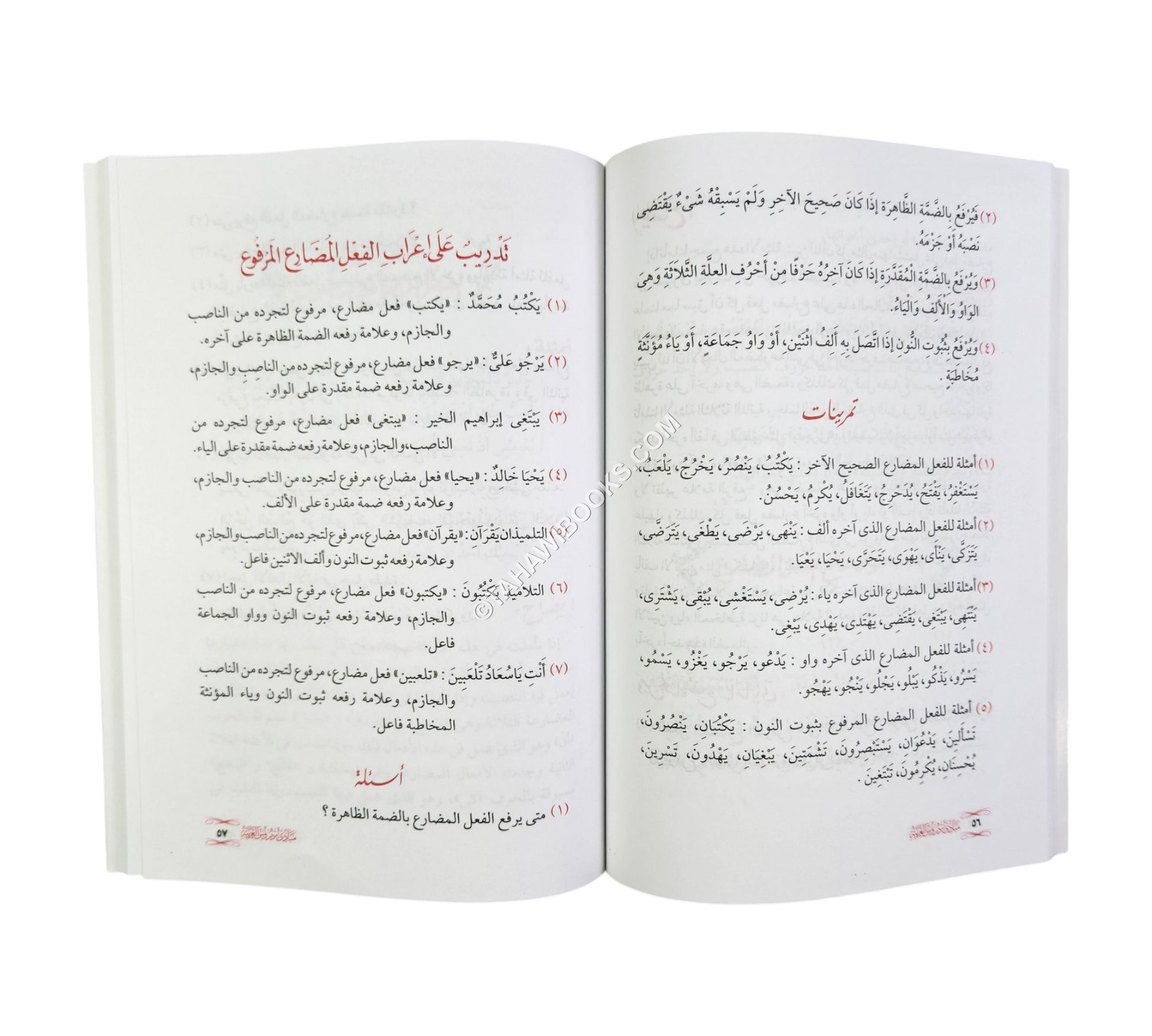 مبادئ دروس العربية