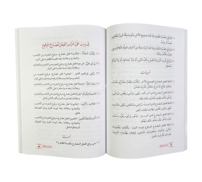 مبادئ دروس العربية