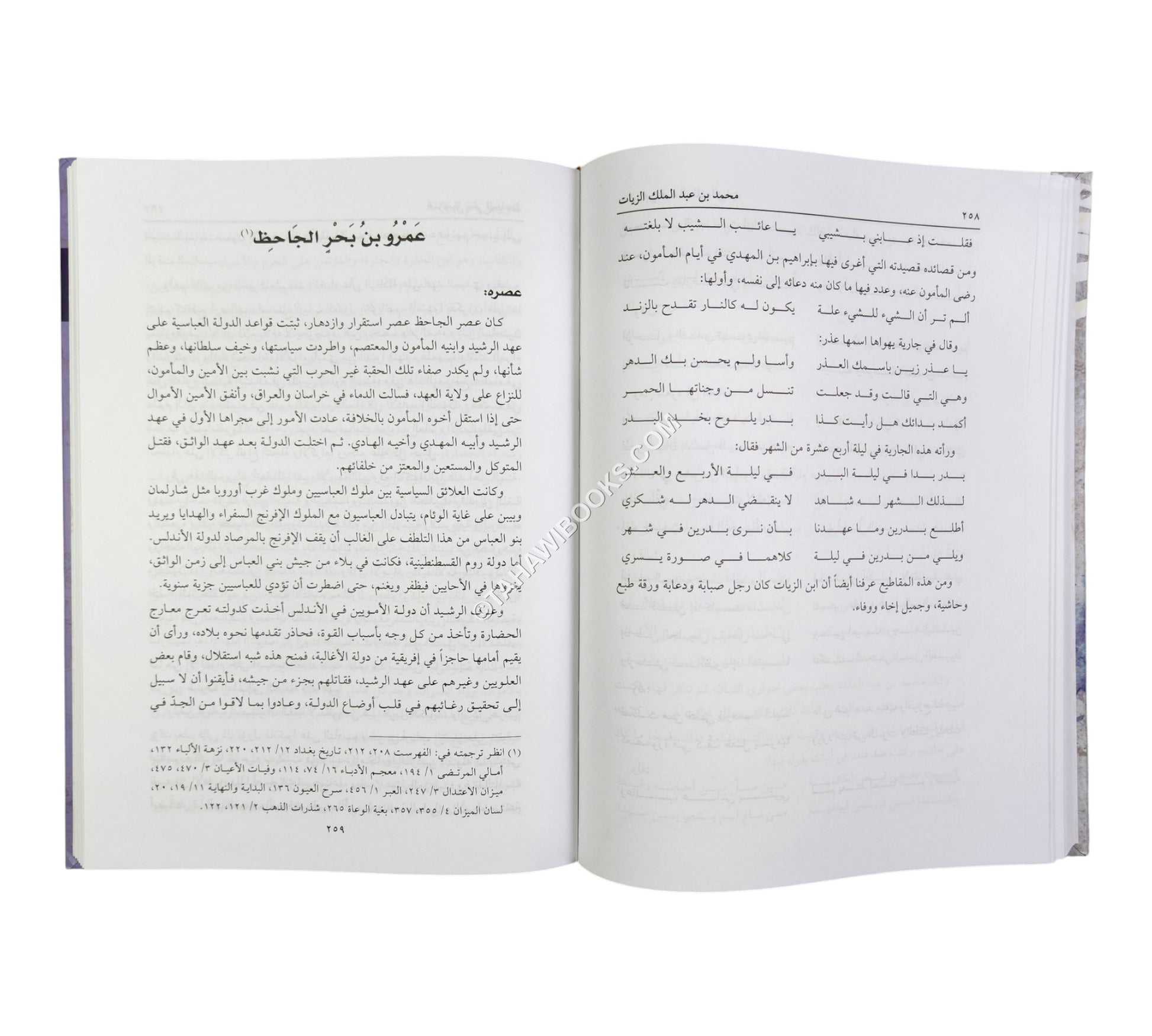 أمراء البيان-العلمية (تحليل أساليب عشرة من أكابر كتاب الحضارة الإسلامية)