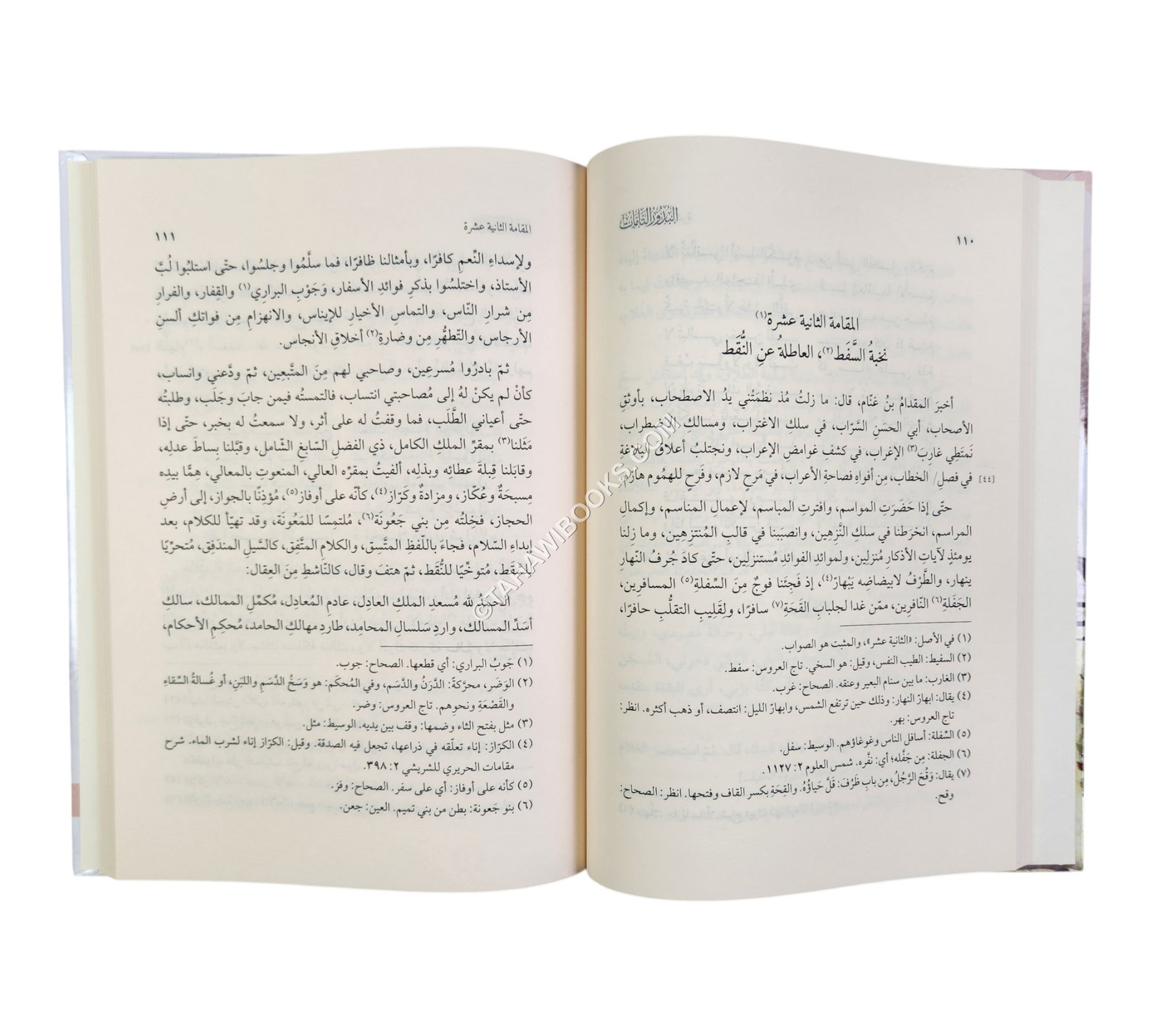 البدور التامات في بديع المقامات