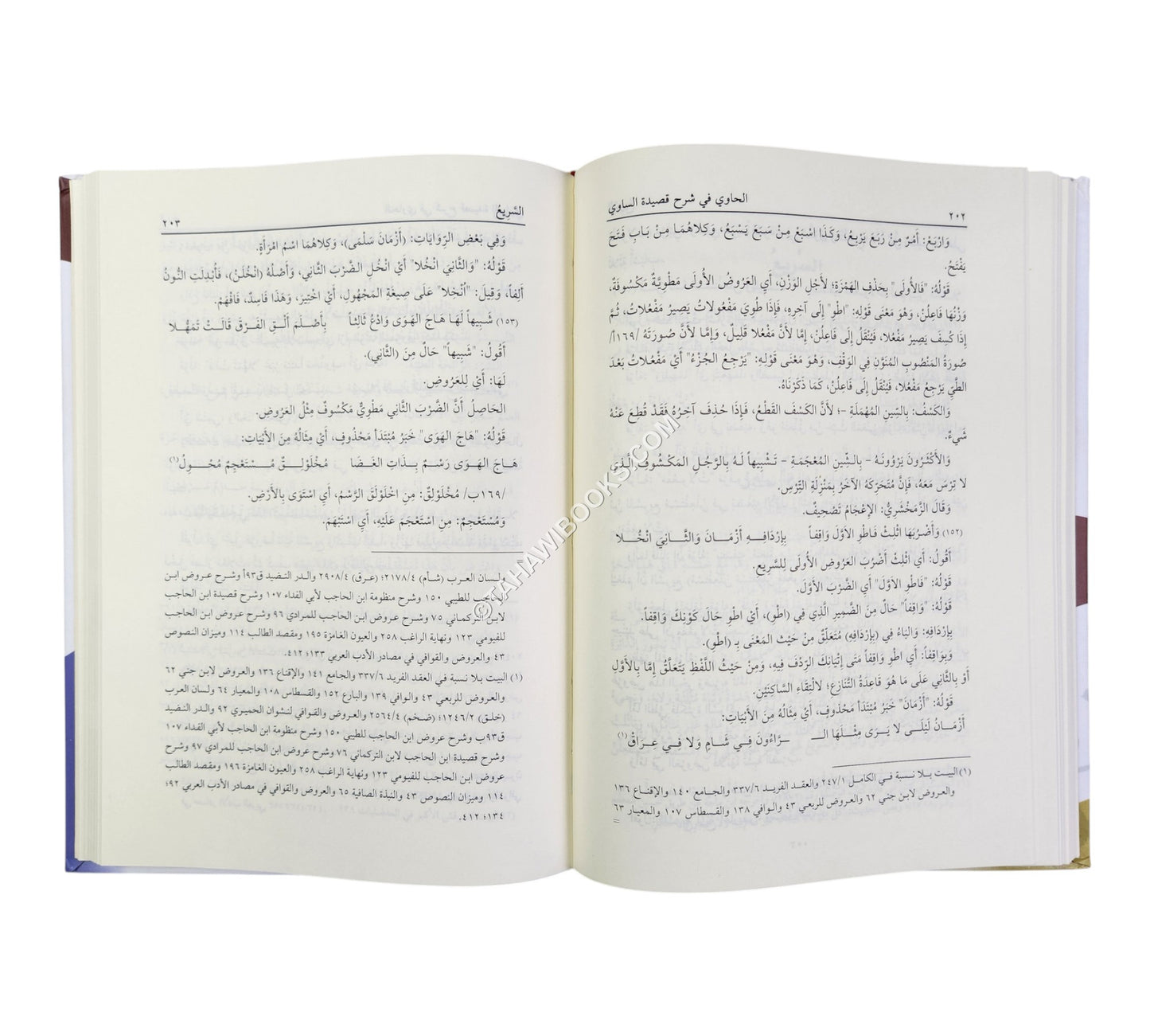 الحاوي في شرح قصيدة الساوي في علم العروض