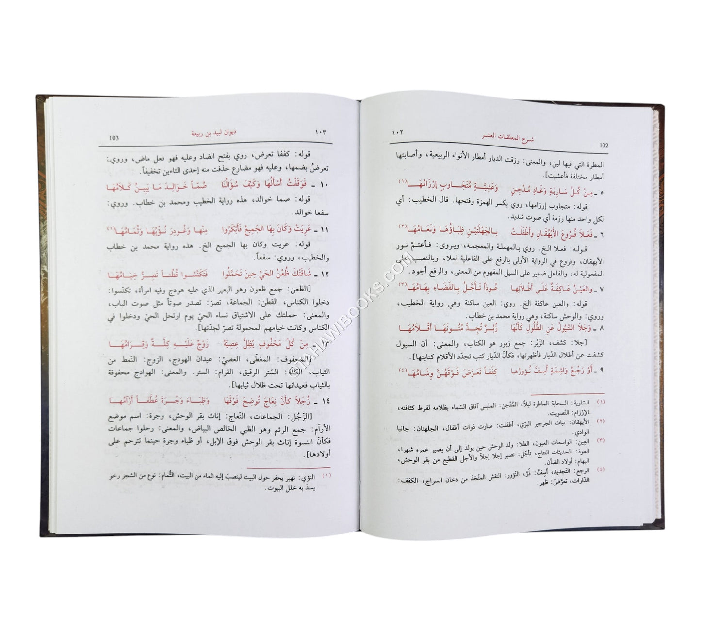 شرح المعلقات العشر ورجالها-العصرية