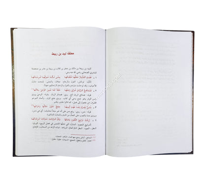 شرح المعلقات العشر ورجالها-العصرية