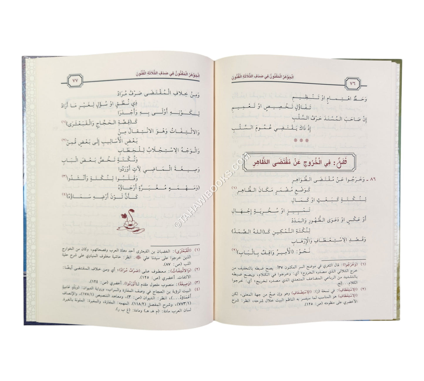 الجوهر المكنون في صدف الثلاثة الفنون