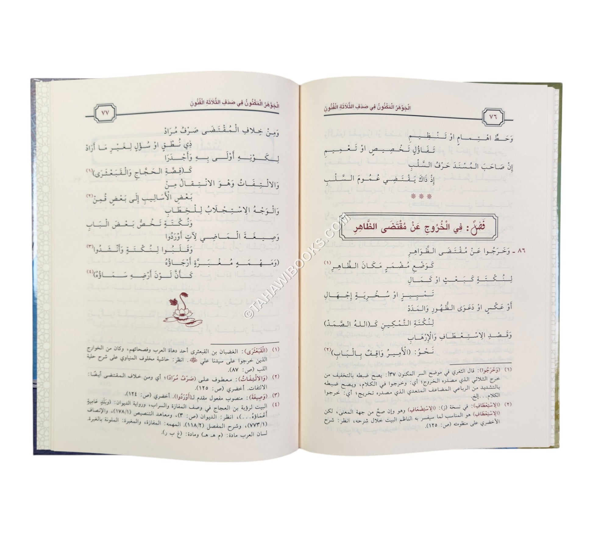 الجوهر المكنون في صدف الثلاثة الفنون