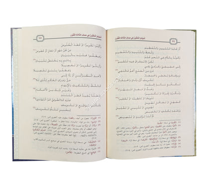 الجوهر المكنون في صدف الثلاثة الفنون