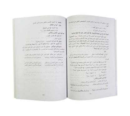 الموجز في البلاغة والعروض