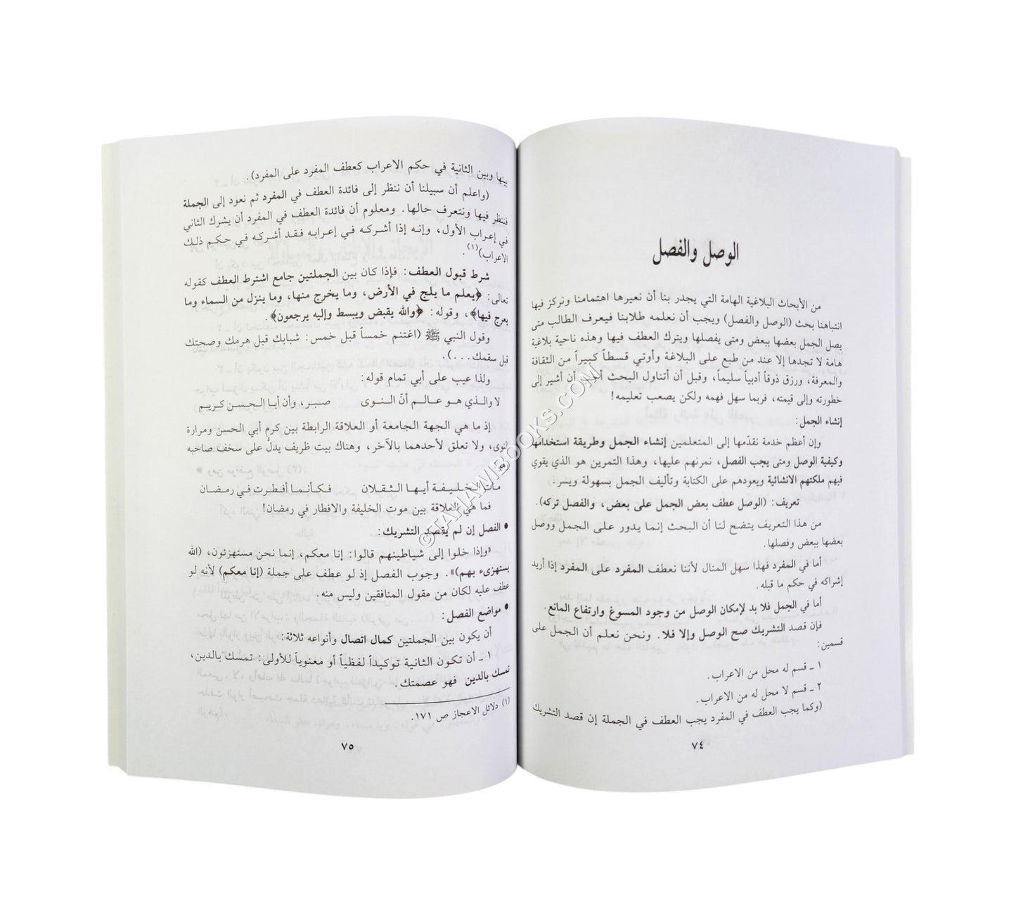الموجز في البلاغة والعروض