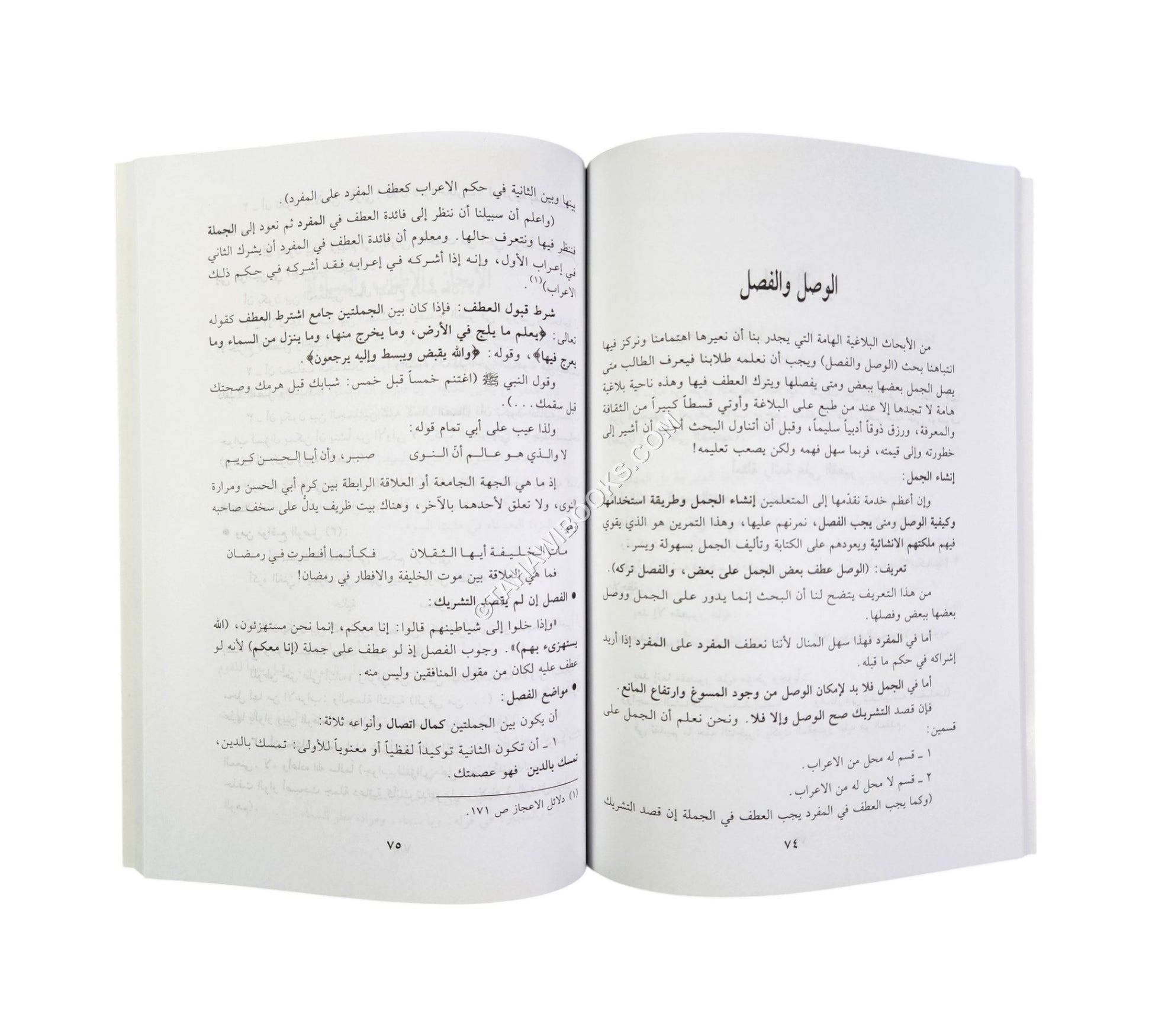الموجز في البلاغة والعروض