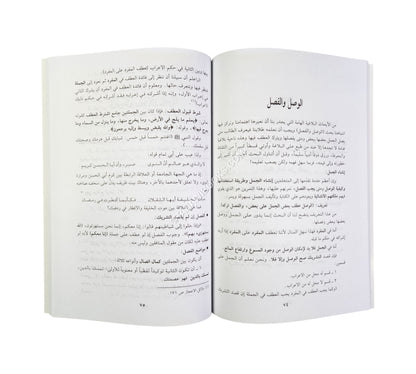 الموجز في البلاغة والعروض