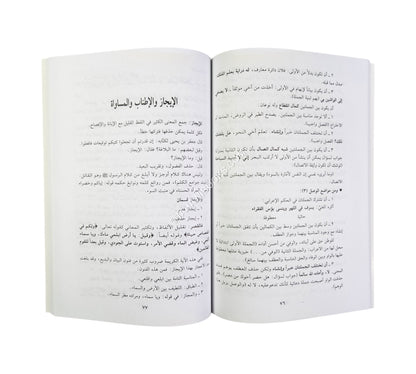 الموجز في البلاغة والعروض