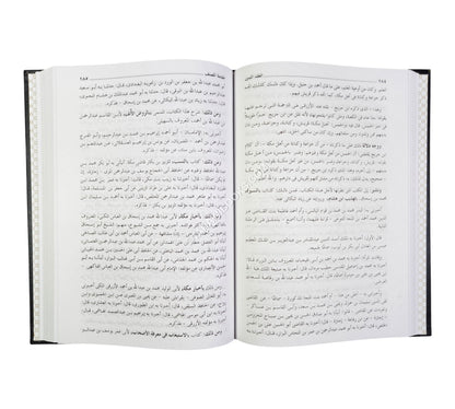 العقد الثمين في تاريخ البلد الأمين