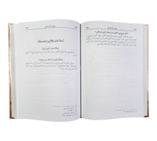 تاريخ ابن الازرق الفارقي