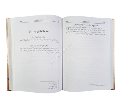 تاريخ ابن الازرق الفارقي