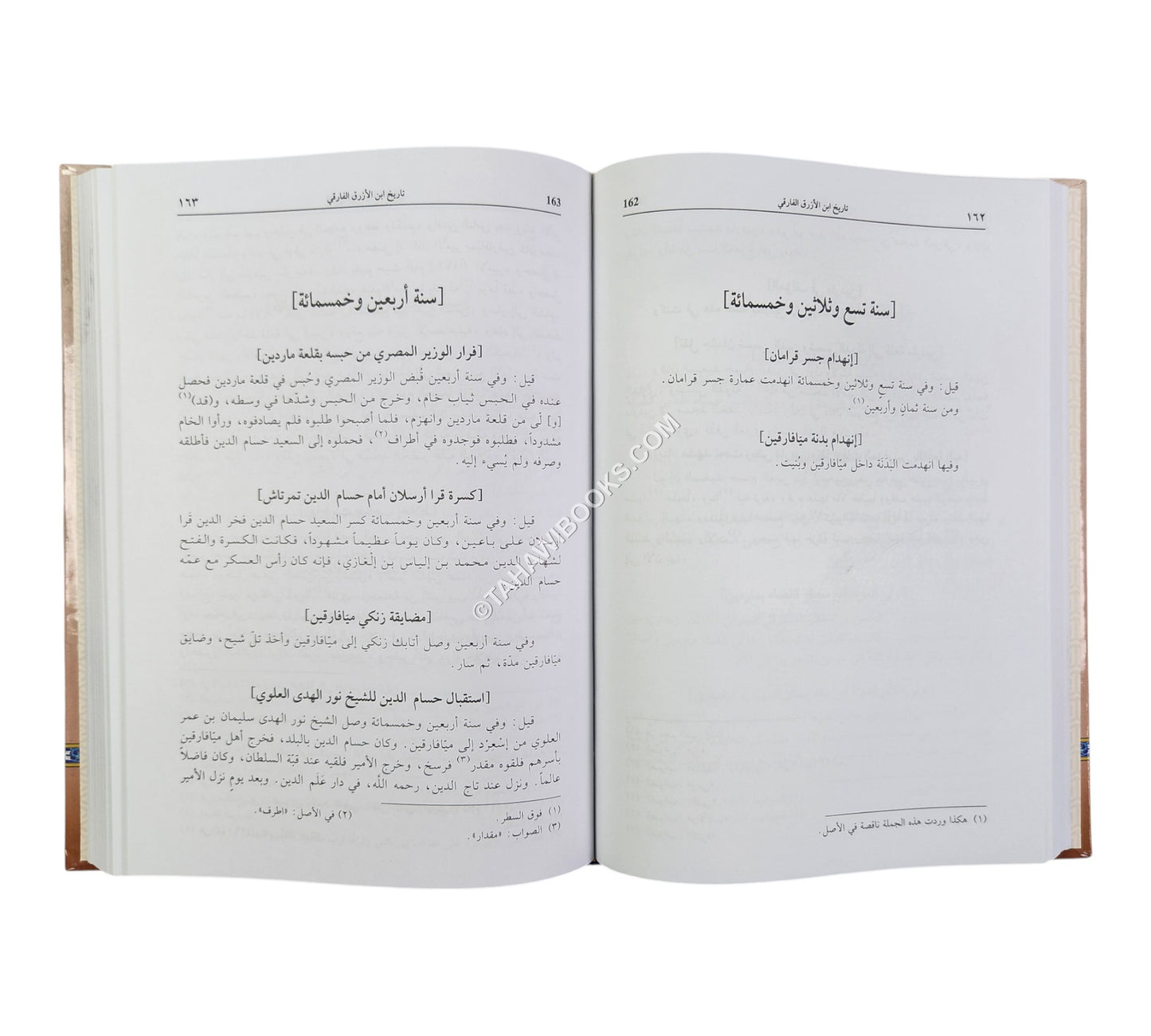 تاريخ ابن الازرق الفارقي