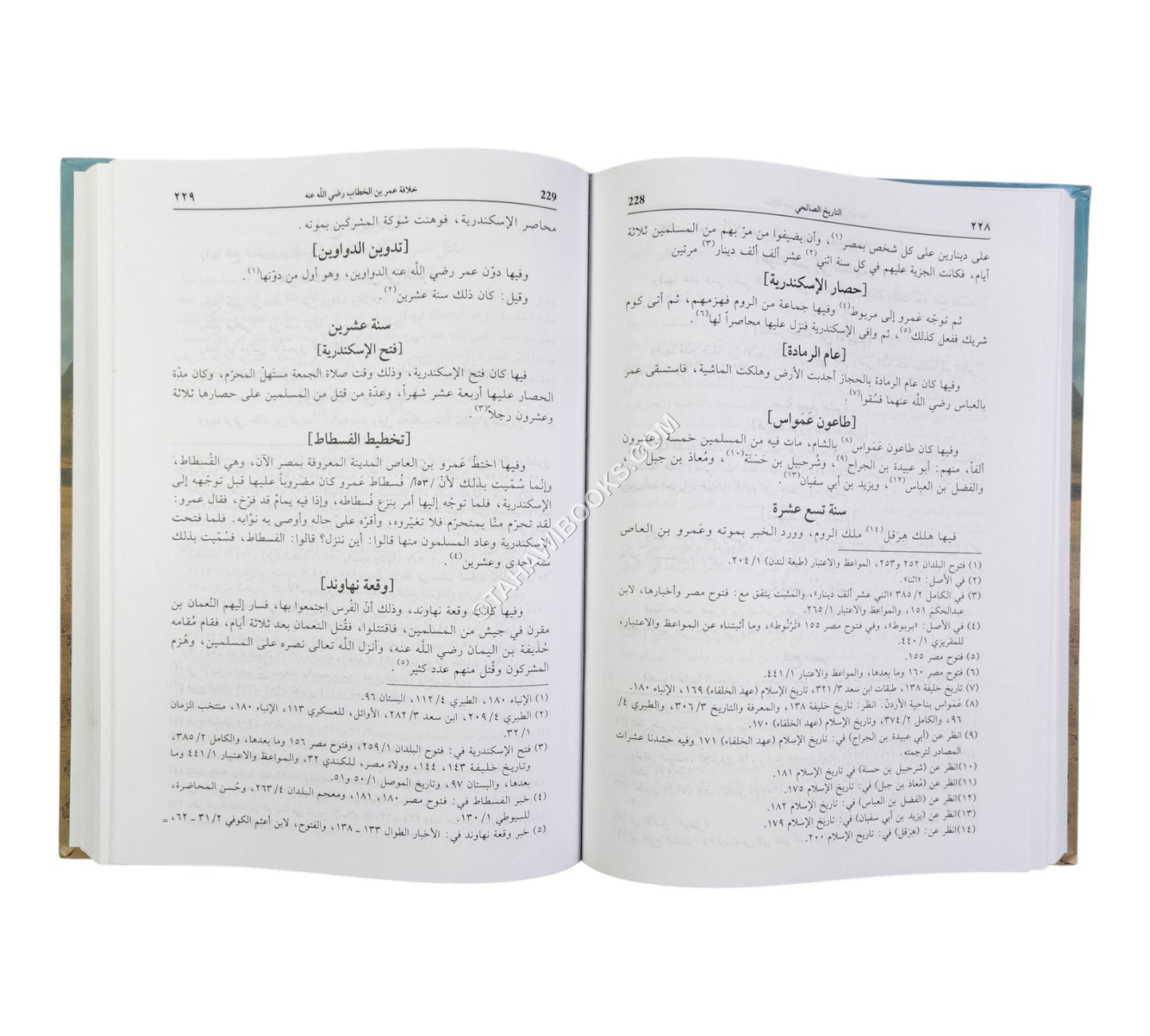 تاريخ الصالحي