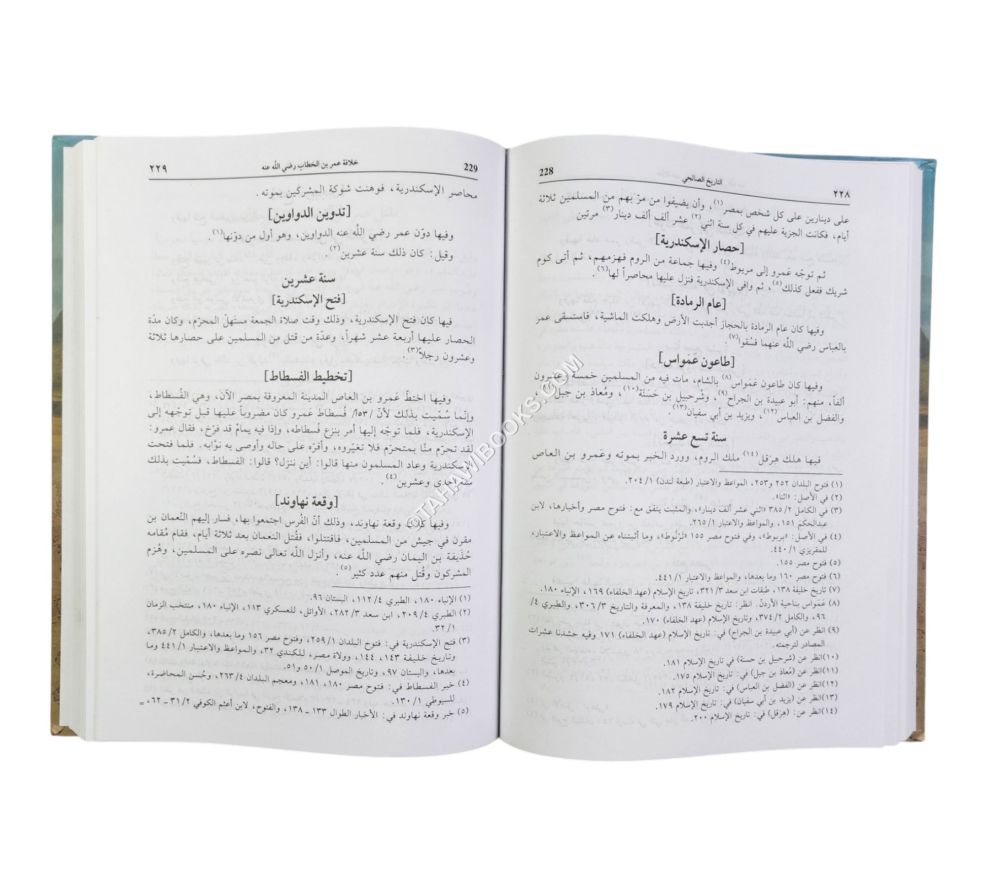 تاريخ الصالحي