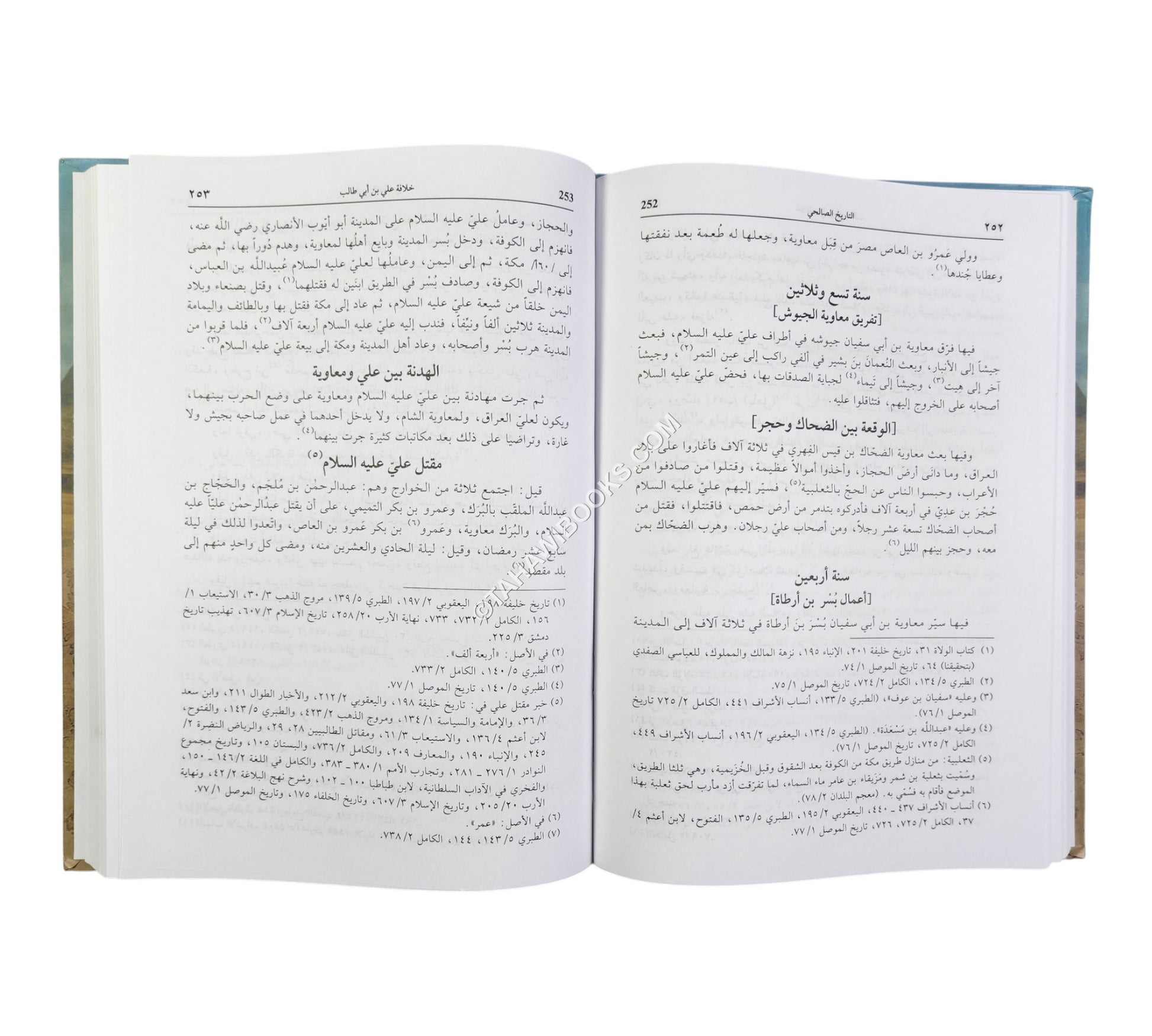 تاريخ الصالحي