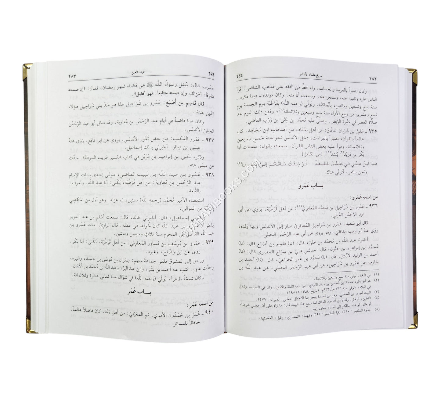 تاريخ علماء الاندلس
