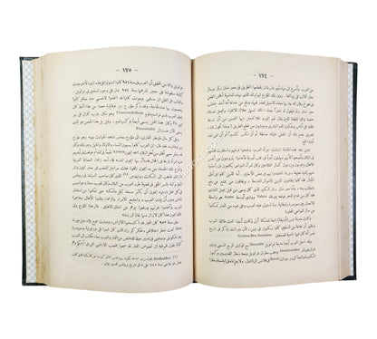 تاريخ غزوات العرب في فرنسا وسويسرا وايطاليا وجزائر البحر المتوسط-العلمية