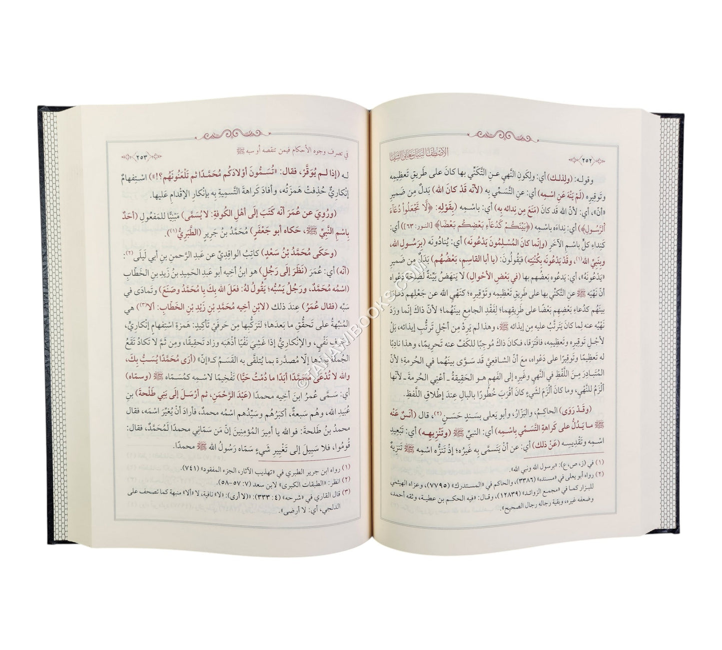 الإصطفا لبيان معاني الشفا