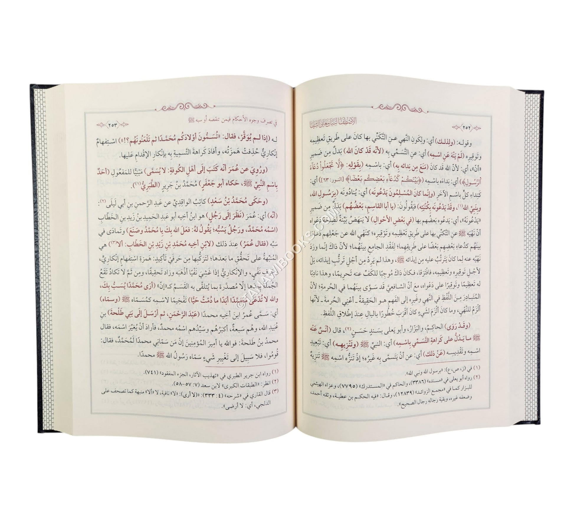 الإصطفا لبيان معاني الشفا