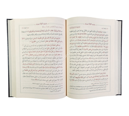 الإصطفا لبيان معاني الشفا