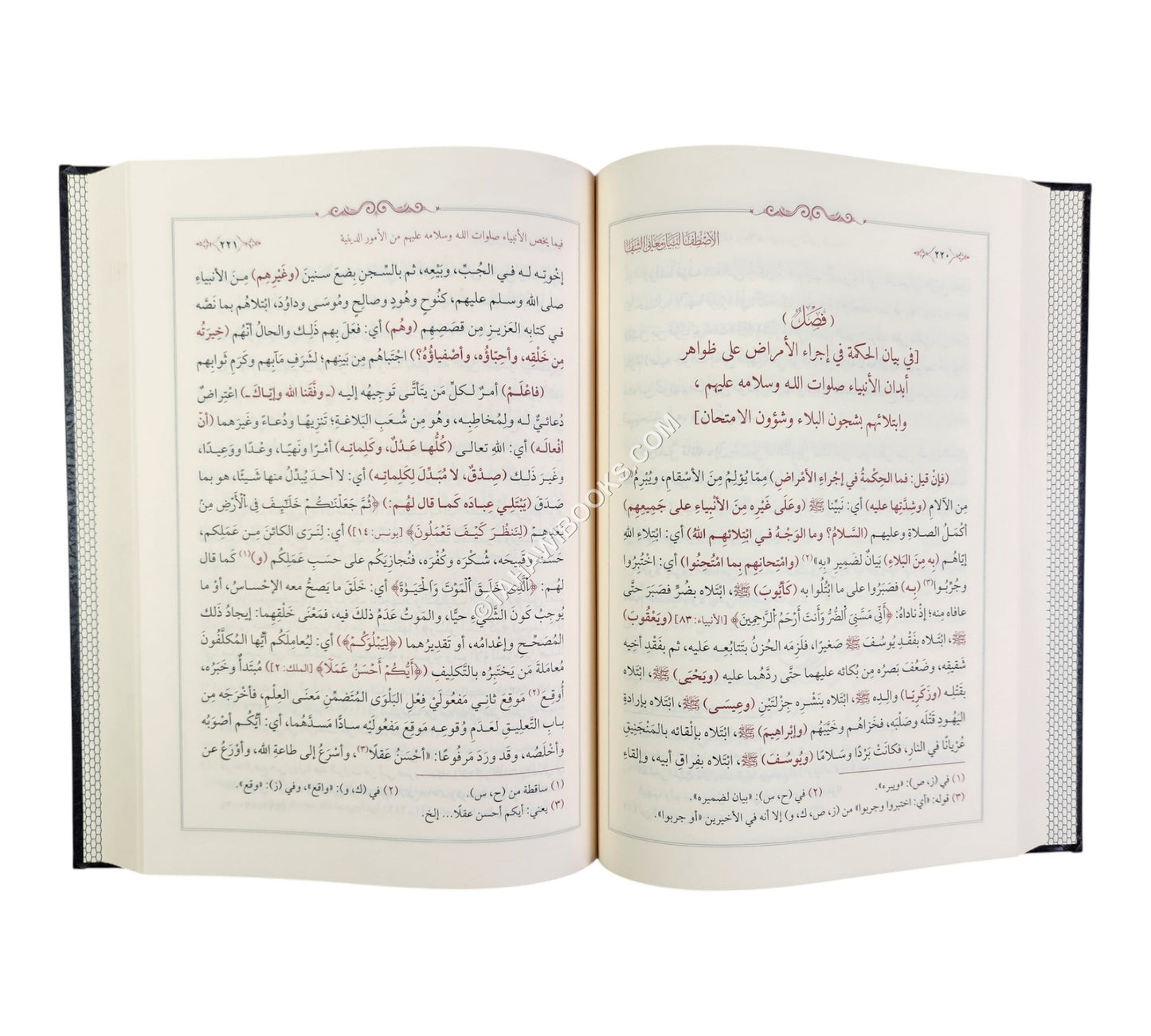 الإصطفا لبيان معاني الشفا
