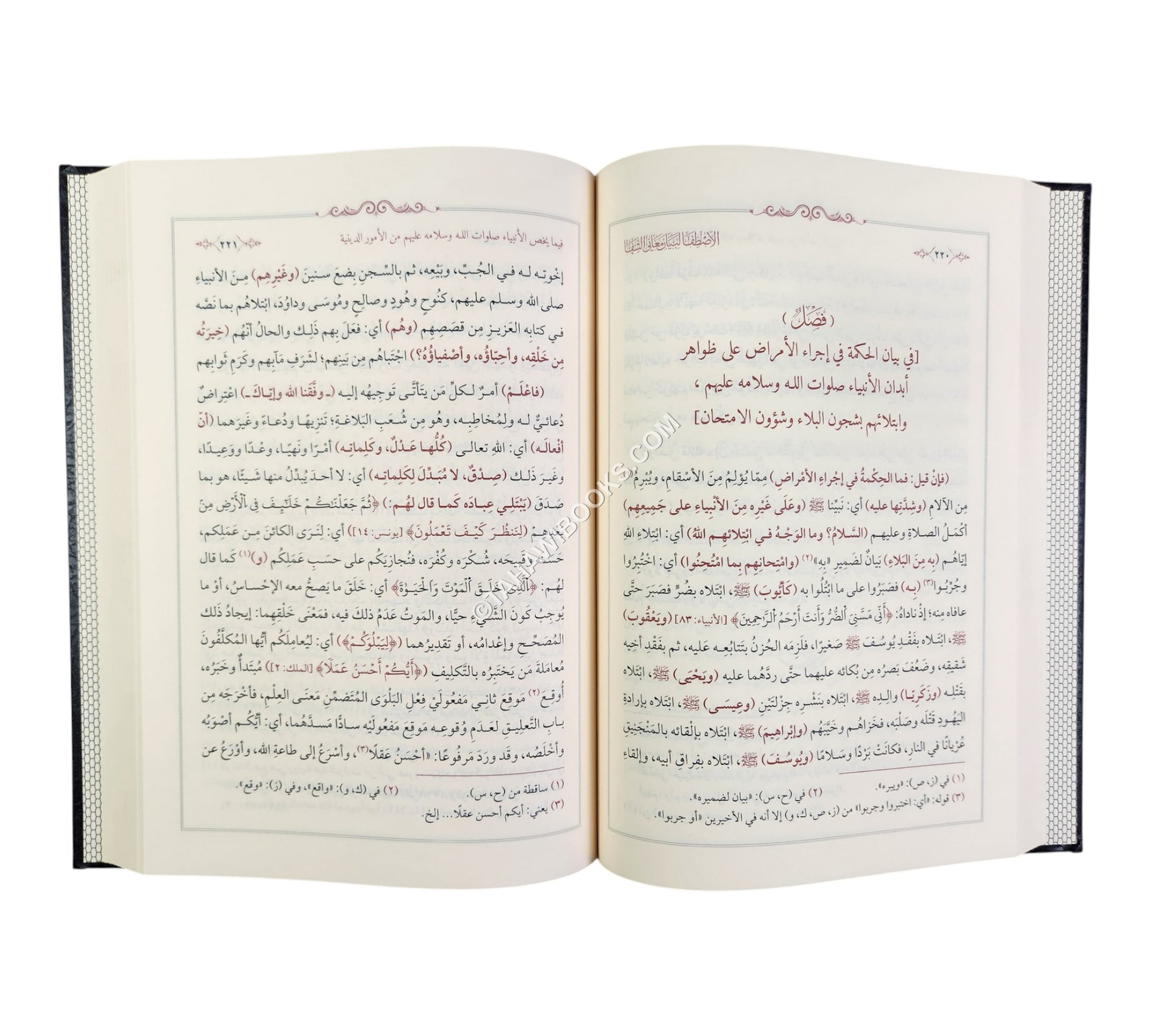 الإصطفا لبيان معاني الشفا