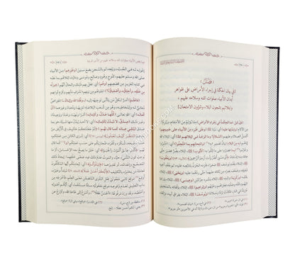 الإصطفا لبيان معاني الشفا