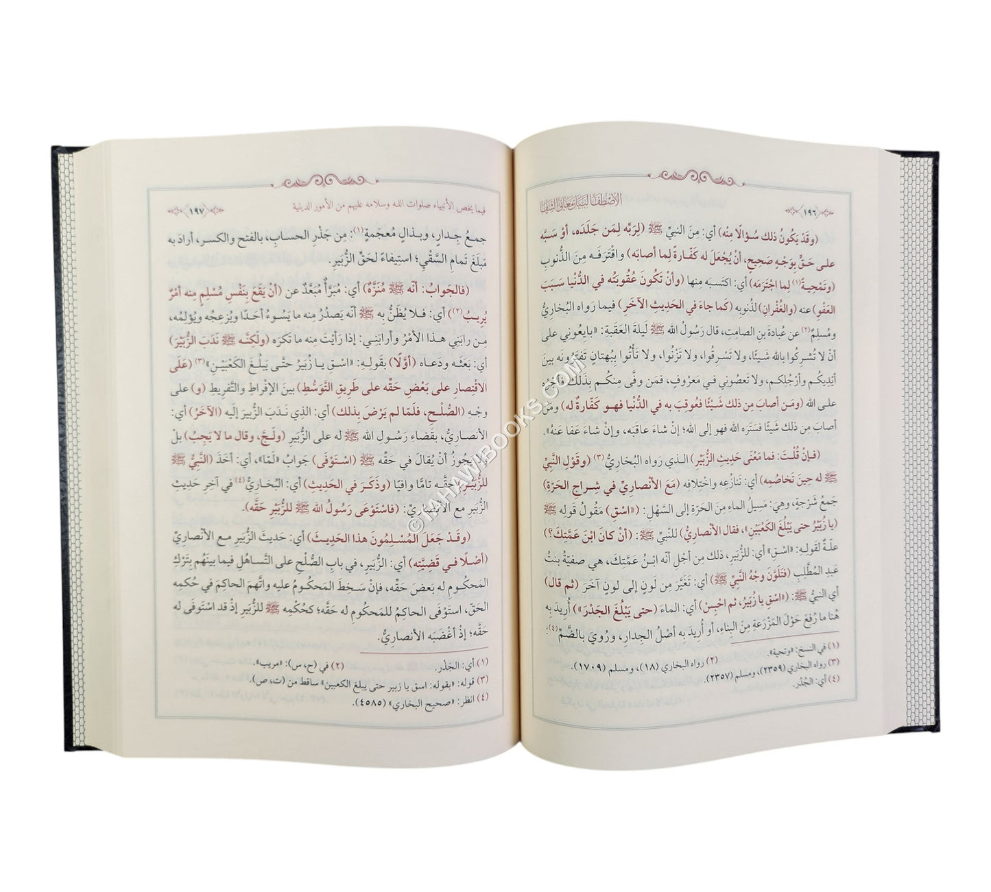 الإصطفا لبيان معاني الشفا