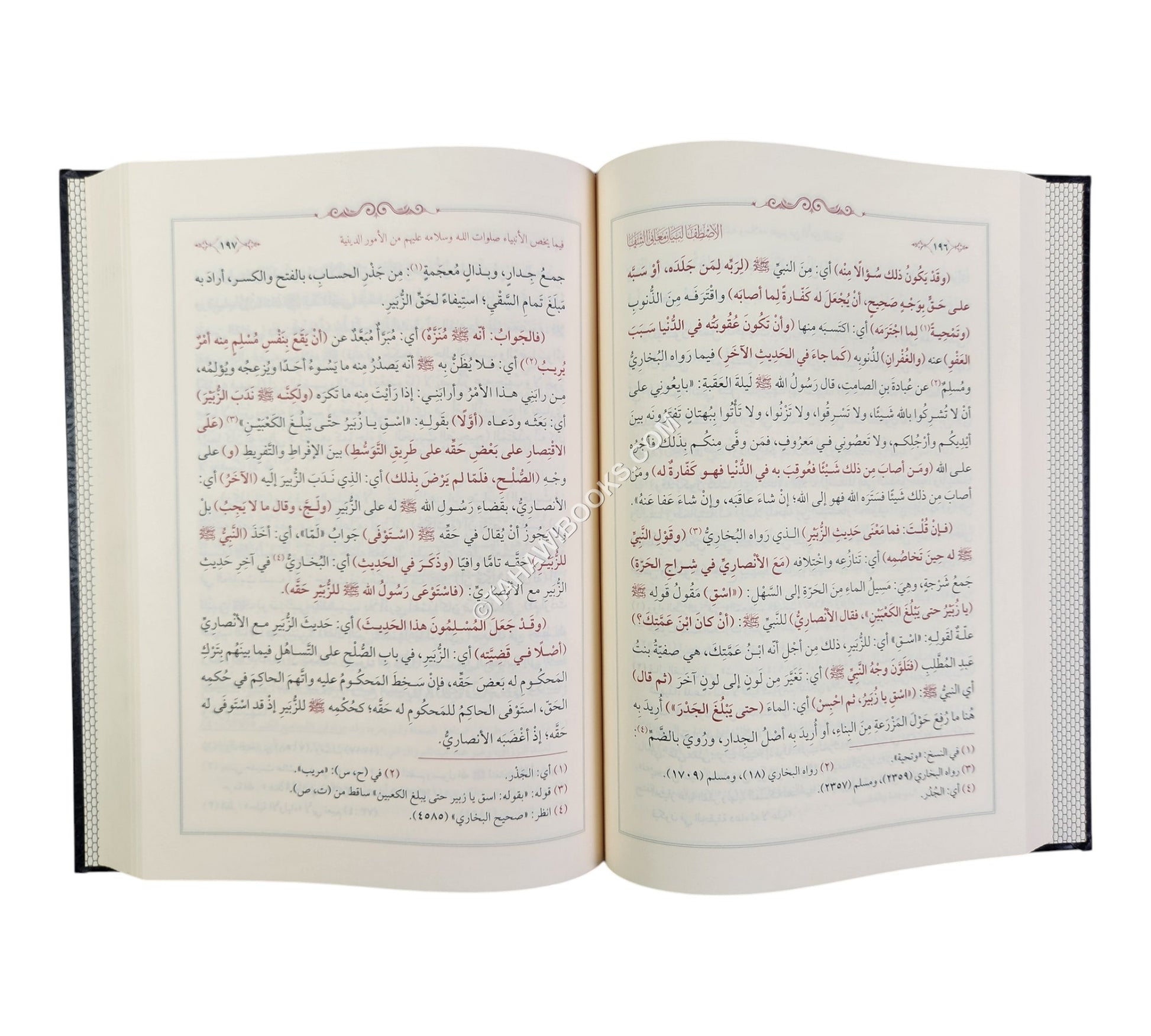 الإصطفا لبيان معاني الشفا