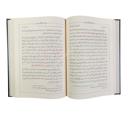 الإصطفا لبيان معاني الشفا