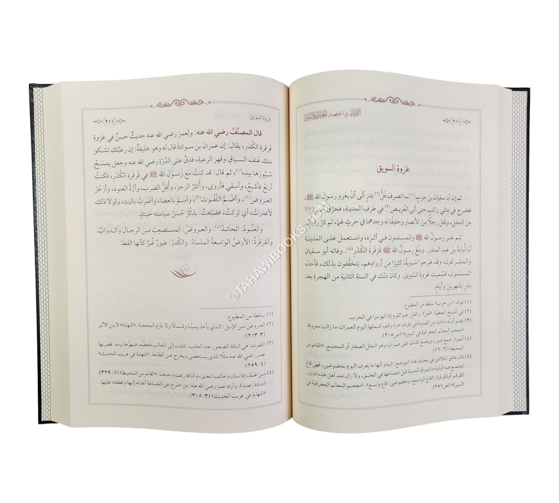 الدرر في اختصار المغازي والسير