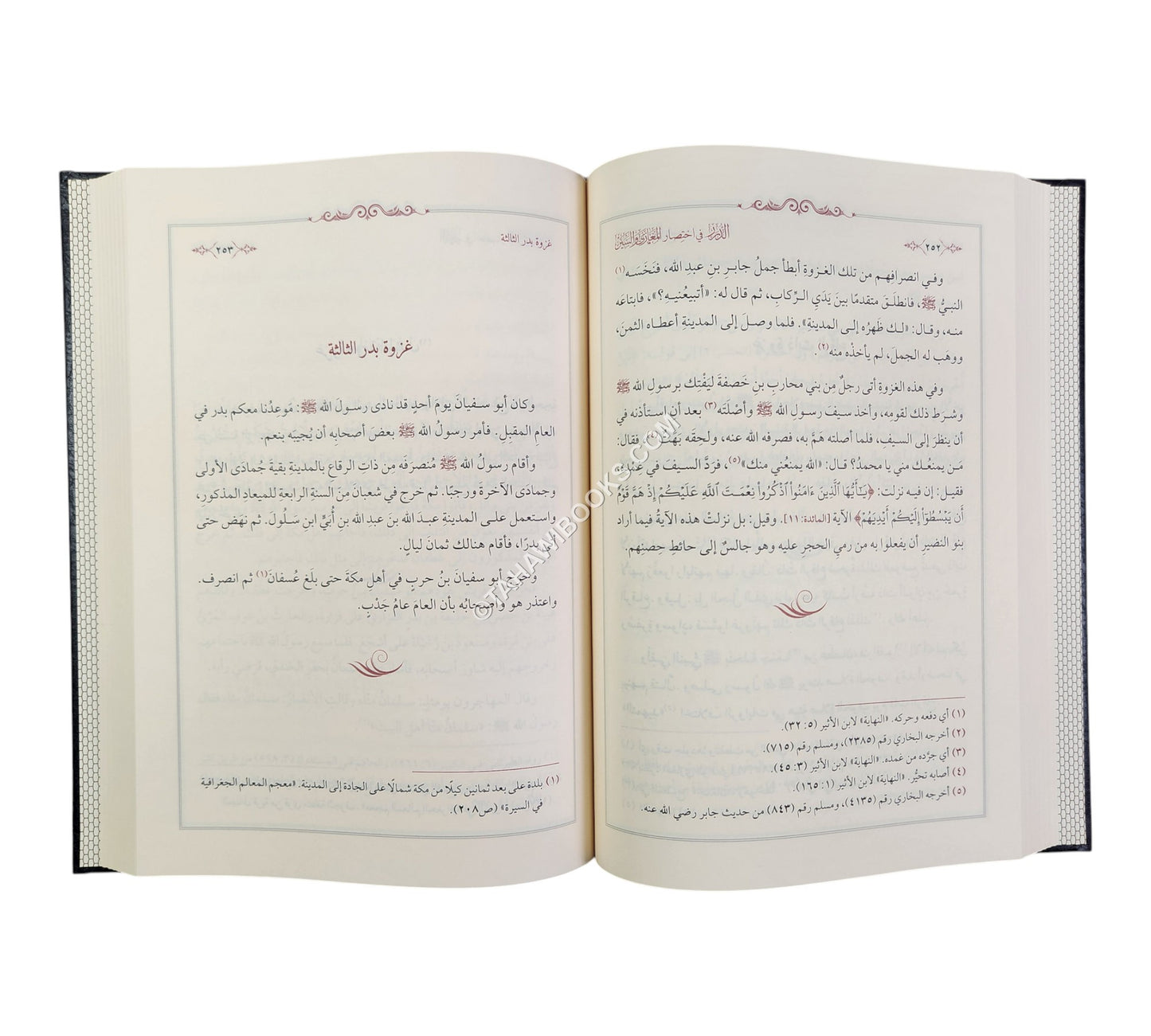 الدرر في اختصار المغازي والسير