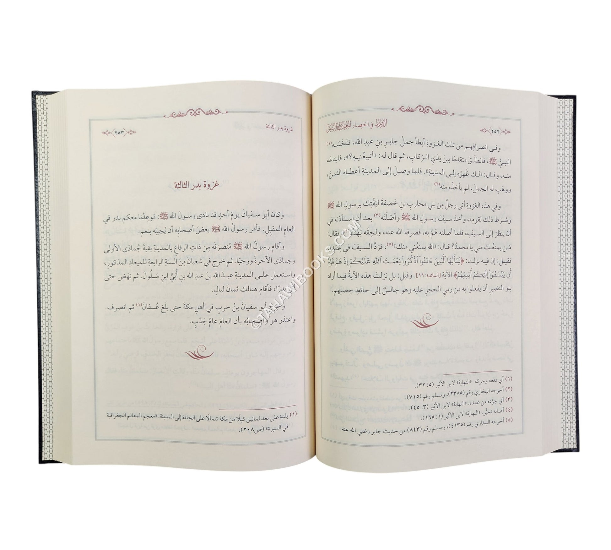 الدرر في اختصار المغازي والسير