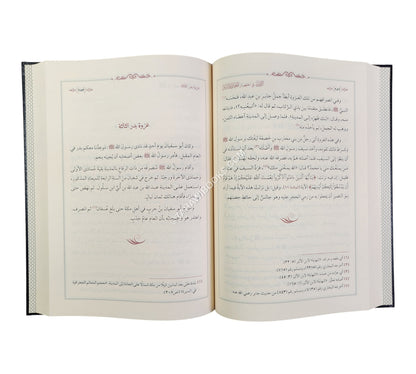 الدرر في اختصار المغازي والسير