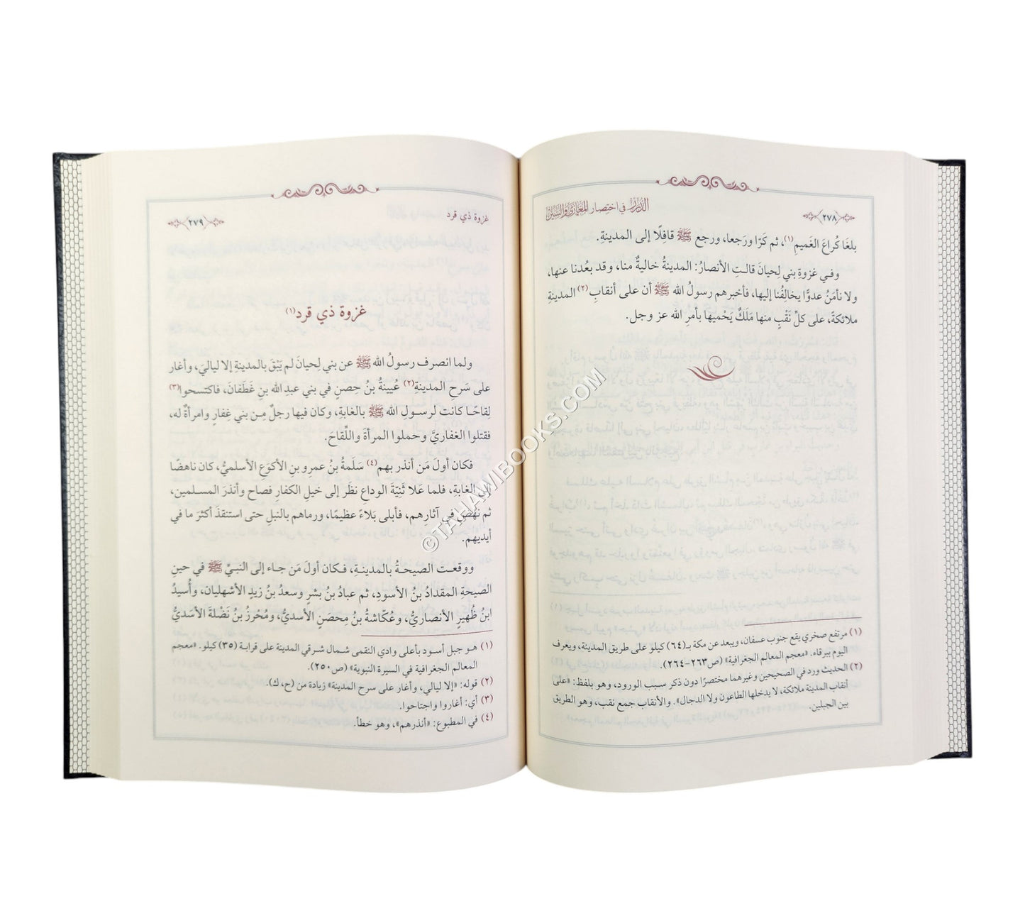 الدرر في اختصار المغازي والسير