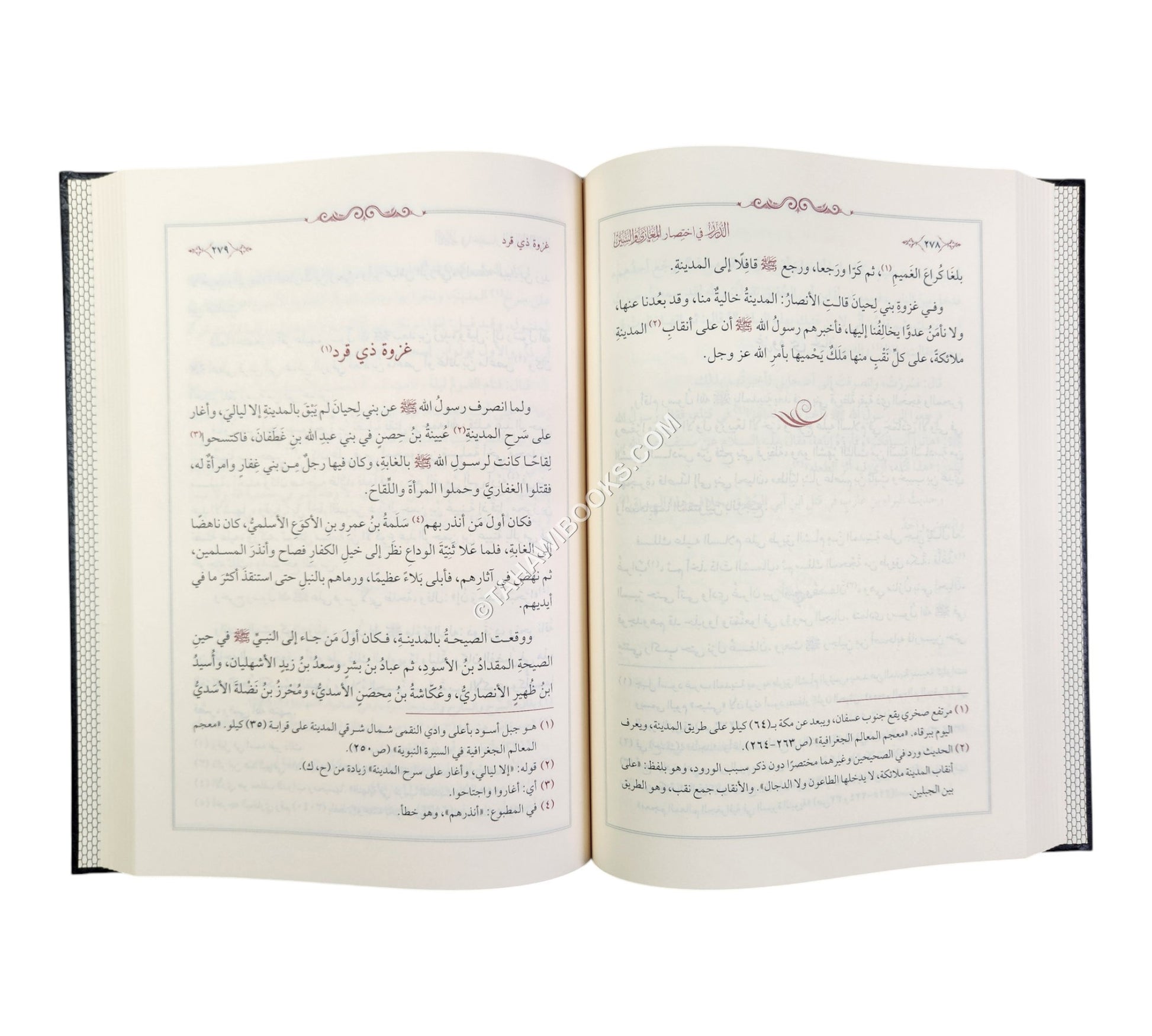 الدرر في اختصار المغازي والسير