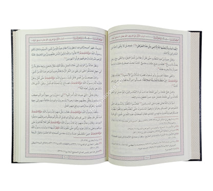 المواهب السنية في سيرة خير البرية