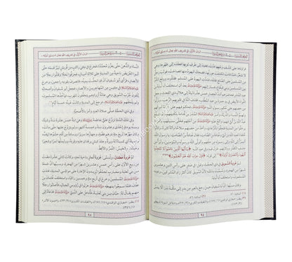 المواهب السنية في سيرة خير البرية