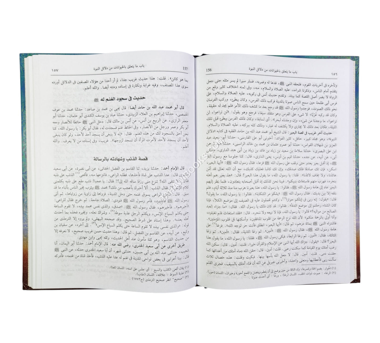 شمائل الرسول ودلائل نبوّته