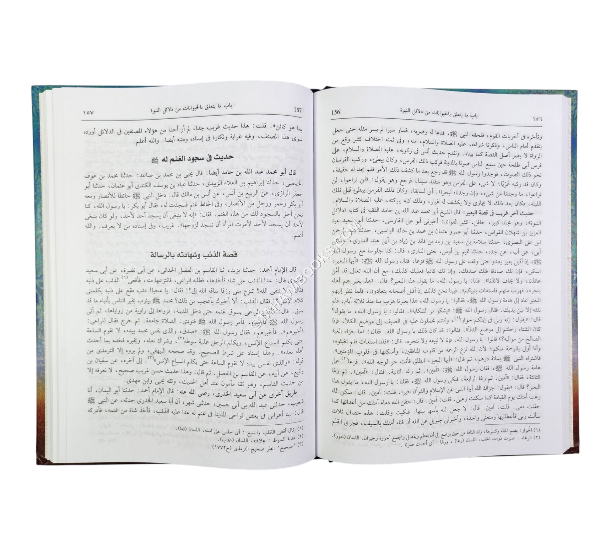 شمائل الرسول ودلائل نبوّته