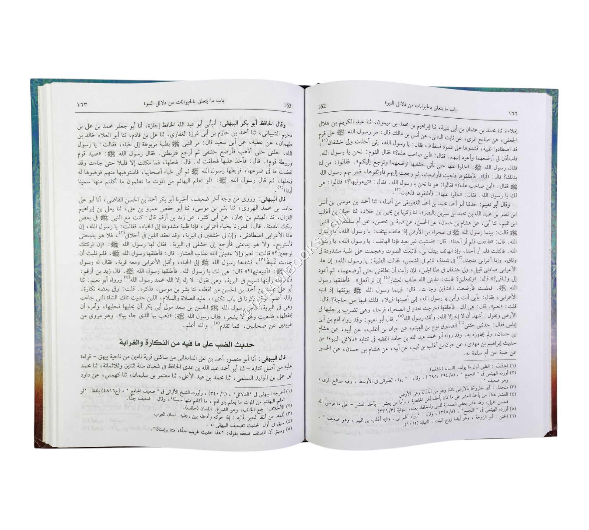 شمائل الرسول ودلائل نبوّته