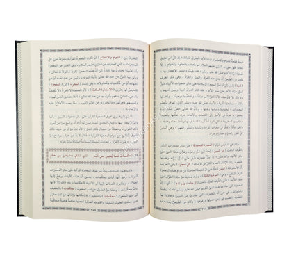 الفوائد البهية والتأملات الجلية في البردة البوصيرية