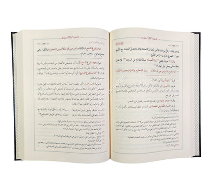 شرح بردة المديح للمحلي وعليه حاشية الدسوقي
