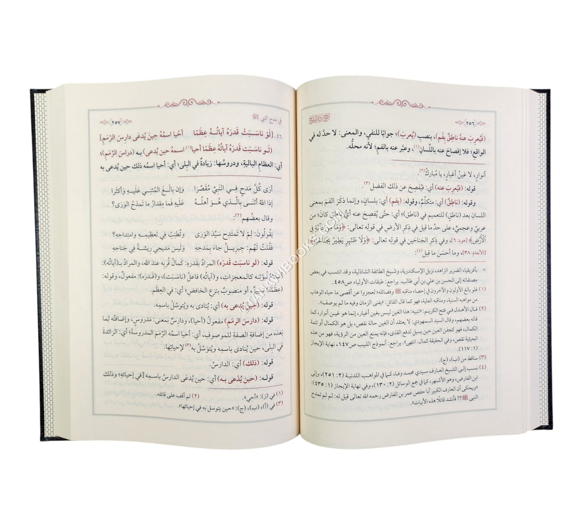 شرح بردة المديح للمحلي وعليه حاشية الدسوقي