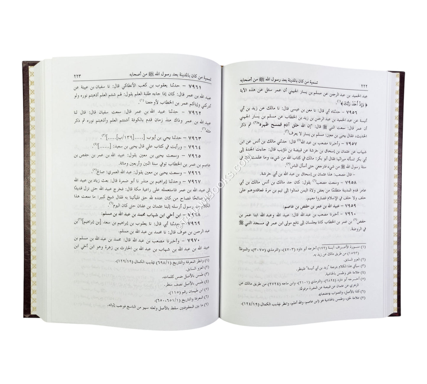 التاريخ الكبير المسمى تاريخ ابن أبي خيثمة
