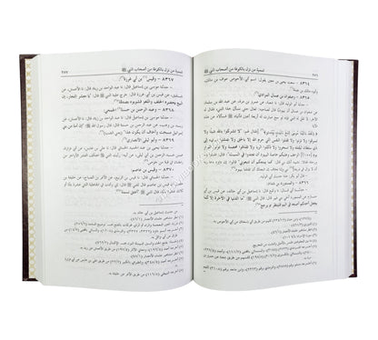 التاريخ الكبير المسمى تاريخ ابن أبي خيثمة