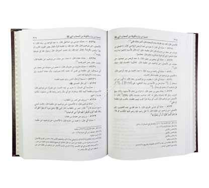 التاريخ الكبير المسمى تاريخ ابن أبي خيثمة
